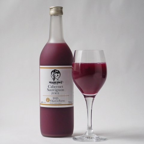 ���㊮�n�J�x���l�\�[���B�j�����W���[�X