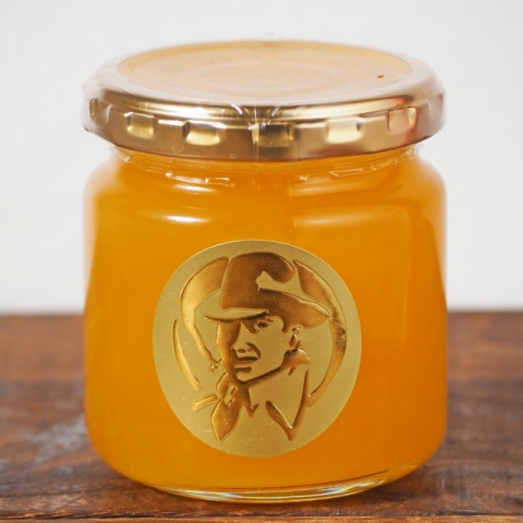 �V�i�m�h���`�F�W����