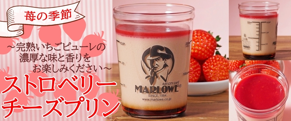 �X�g���x���[�`�[�Y�v����