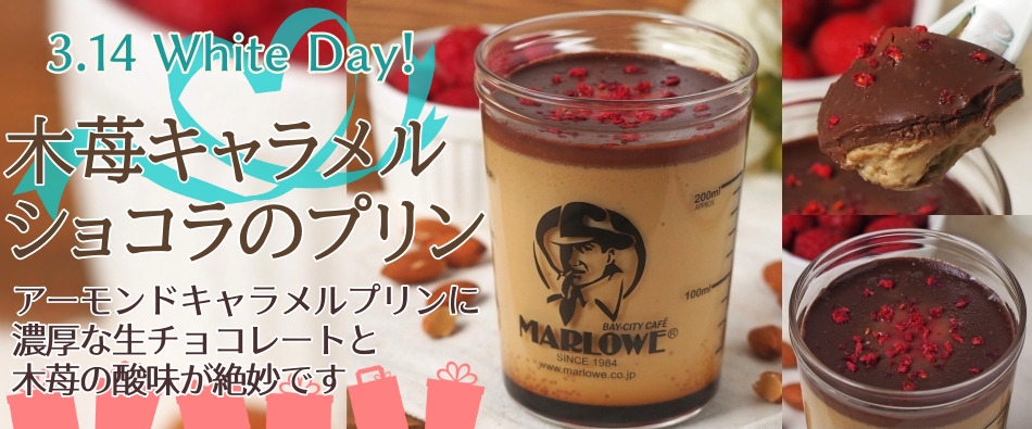 ��䕃L���������V���R���̃v����