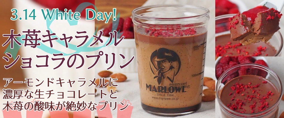 ��䕃L���������V���R���̃v����