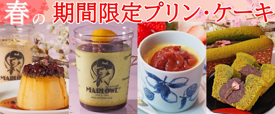 �t�̊��Ԍ��菤�i